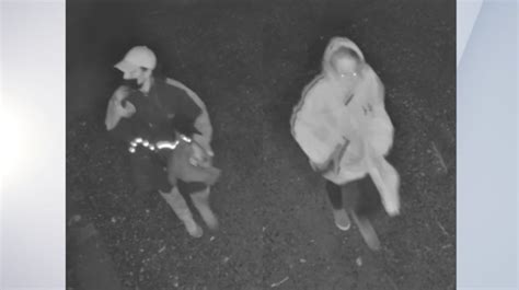 VSP attempts to identify two in Woodford grand larceny investigation